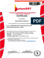 006 Certificacion Trabajos en Altura - Deivis Muñoz Sandoval