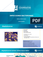 Infecciones Bacterianas 2410