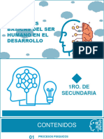 Funciones Básicas Del Ser Humano en El Desarrollo