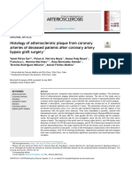 Histology of Atherosclerotic Plaque From Coronary Arteries of Deceased Patients After Coronary Artery Bypass Graft Surgery