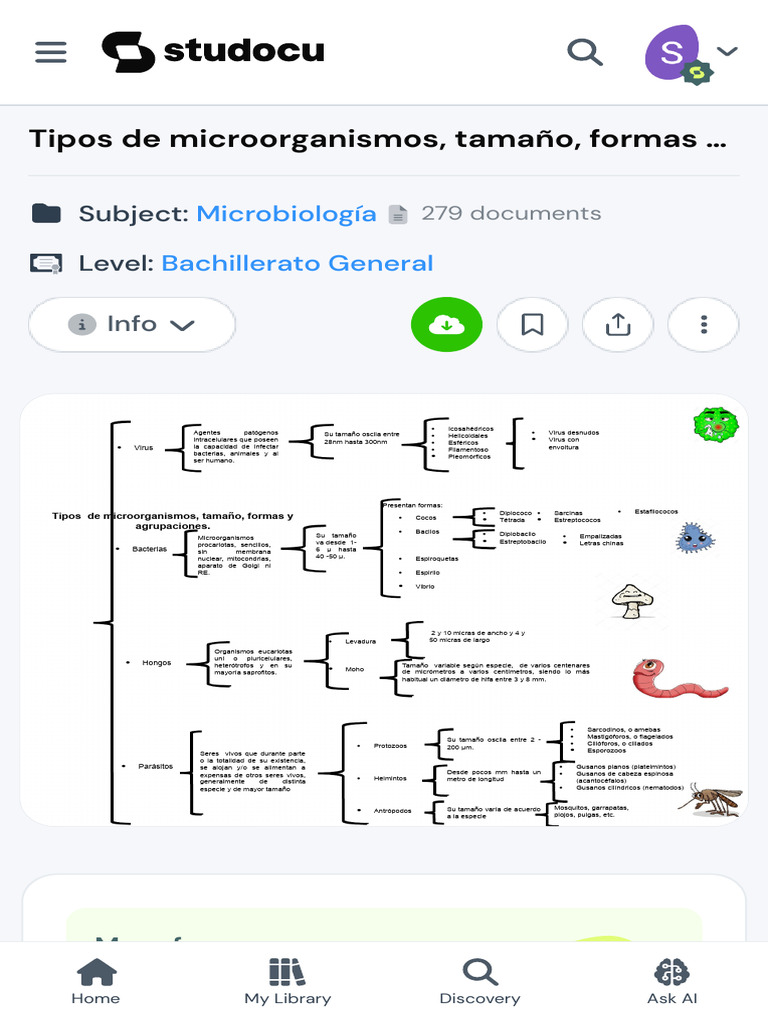 Tipos y Tamaños de Microorganismos | PDF | Microorganismo | Las bacterias