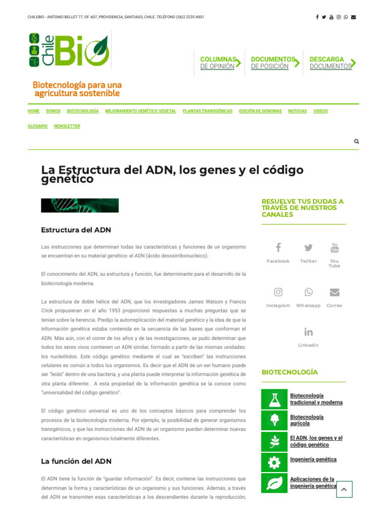 ADN: Estructura y Función Básica | PDF | Codigo genetico | Adn