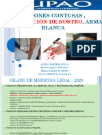 3 - Teoria Lesiones DEFORMACION DE ROSTRO