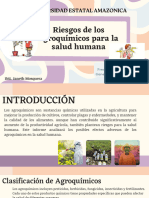 Riesgos de Los Agroquímicos para La Salud Humana-Agroquimicos - Compressed