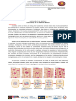 Botany Lab Guide 3 The Plant Mitosis