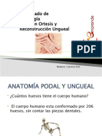 (Clase 5) ANATOMIA PODAL Y UNGUEAL, HUESOS DEL CUERPO HUMANO, MUSCULOS.