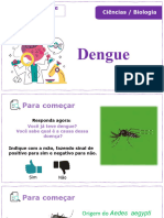 Slide - Dengue