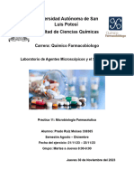 Portada Reporte Micro 11 PDF