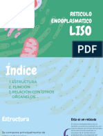 Retículo Endoplasmático Liso