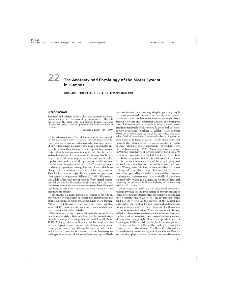 The Anatomy and Physiology of The Motor | PDF | Cerebral Cortex | Brain