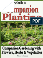 A-Beginners-Guide-to-Companion-Planting-Companion-Gardening-with-Flowers_-Herbs-Vegetables-_Mel-Jeff