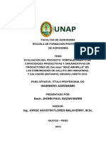 Evaluacion Del Proyecto "Fortalecimiento de Capacidades Productivas y Organizativas en Productores de Maiz Amarillo, Loreto