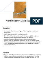 Namib Desert Case Study