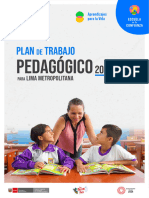 Plan de Trabajo Pedagogico 2024