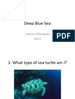 Deep Blue Sea Test
