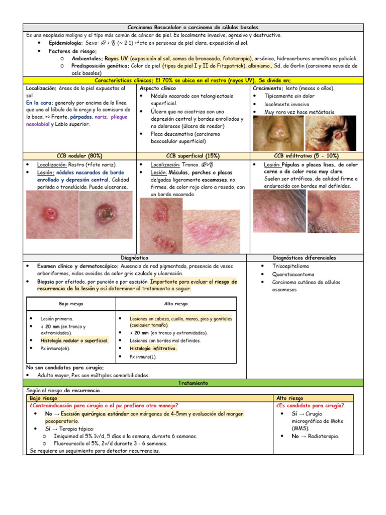 Neoplasias - Resumen | PDF