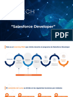 Salesforce Developer Domi
