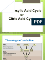 TCA Cycle