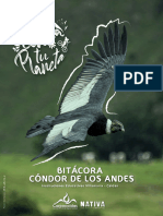 Bitácora Del Condor de Los Andes Conecta Con Tu Planeta