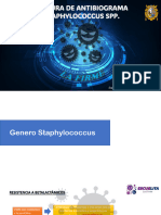 Mecanismo de Resistencia Staphylococcus Spp.