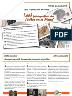 P Formaciondefosiles Ns-Ilovepdf-Compressed