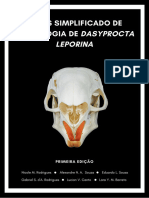 Atlassimplificadodeosteologiade Dasyproctaleporina-MEDVETIFAM