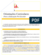 Resumo Das Orientações Curriculares