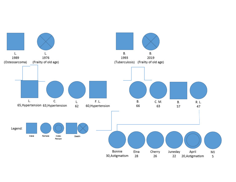 Genogram Format | PDF