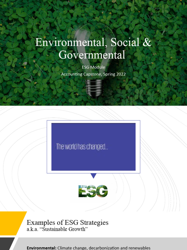 ESG Strategies and Reporting Overview | PDF