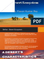 Desert Ecosystem