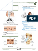 (Unit 6) M.01 Anatomy of The Nose and Paranasal Sinuses