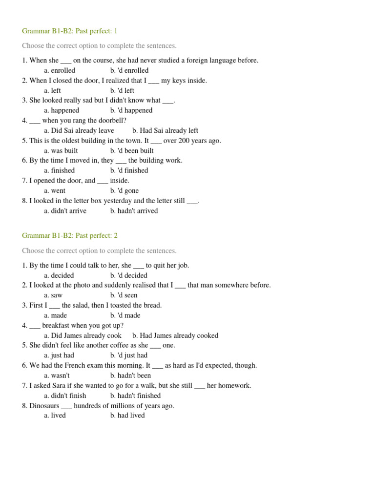 PAST PERFECT TENSE EXERCISE WITH ANSWERS PDF visual data 2