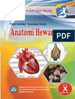 Anatomi Hewan 1