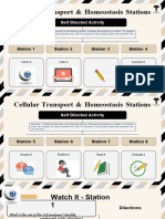 Adalae - Cellular Transport & Homeostasis Stations (1)