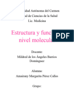 Estructura y Funcion A Nivel Molecular