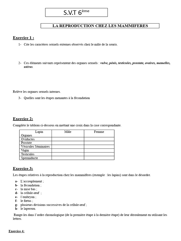 Exercice S.V.T 6ème | PDF