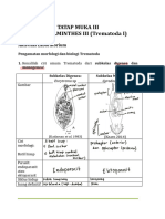 Darapuspa Widyadhari Aulia - Termatoda 1