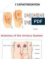 Urinary Catheterization