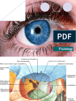 Fisiologi Mata 1