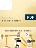 Cadena Alimenticia