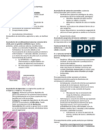 Resumen Fisiopatología s1