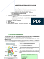 Biologia Tema 6.1. Endomembranas