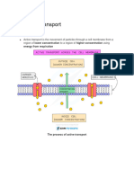 3.4 Active Transport