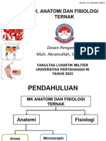 Anatomi Dan Fisiologi Pak Akrham Semester II