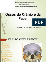 Ossos+Do+Cranio+e+Da+Face-+2018 2+pré Aula