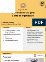 Definindo As Minhas Técnicas de Organização