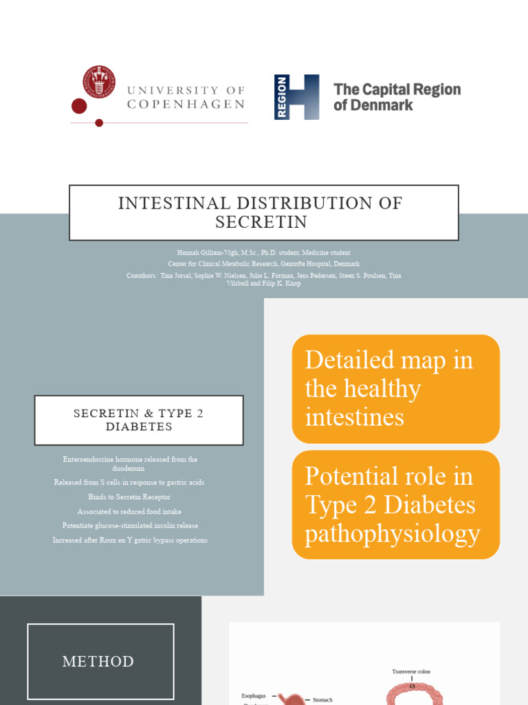Secretin's Role in Type 2 Diabetes | PDF | Gastroenterology | Medical ...