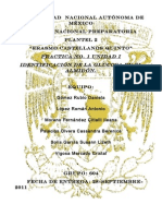 Practica U1 Identificacion de Glucosa en El Almidon