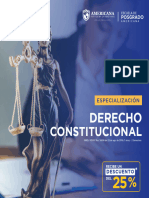 02 Derecho Constitucional Posgrado Presencial 2024