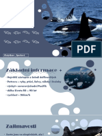 Kosatka Drava PDF
